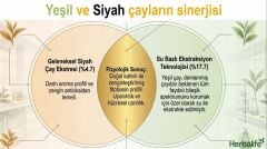 Çay ve Bitki Ekstreli Aromalı İçecek Tozu - Mango ve Ejder Meyvesi Aromalı 102 g